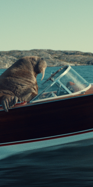 A walrus is sitting at the helm of a speeding, vintage-style wooden speedboat with a Virgin Media logo on the side. The boat is gliding across the water, creating a large wake, and is set against a backdrop of calm blue waters and rocky islands in the distance. The walrus appears to be navigating the boat with one flipper resting on the side. The image has a light-hearted and surreal feel