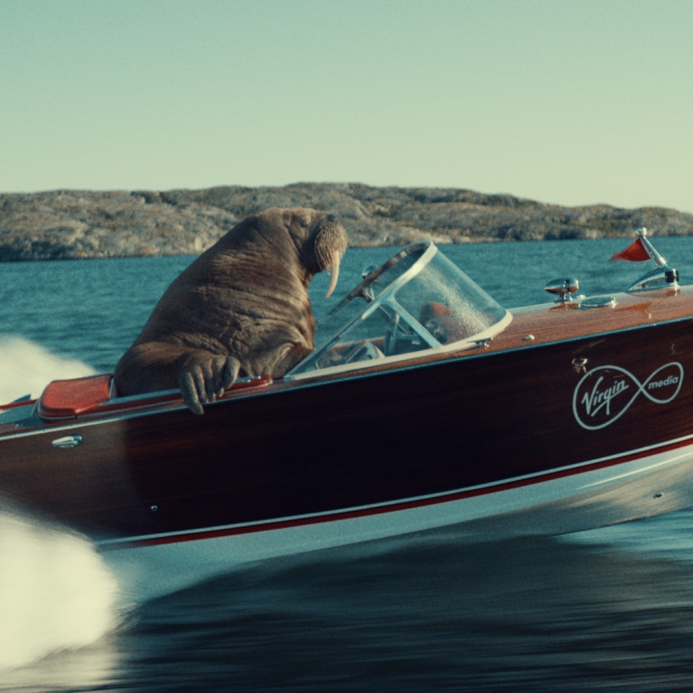 A walrus is sitting at the helm of a speeding, vintage-style wooden speedboat with a Virgin Media logo on the side. The boat is gliding across the water, creating a large wake, and is set against a backdrop of calm blue waters and rocky islands in the distance. The walrus appears to be navigating the boat with one flipper resting on the side. The image has a light-hearted and surreal feel